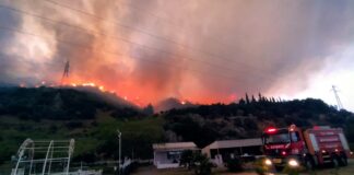 Aydın Söke’de orman yangını