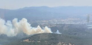 Bodrum’da ormanlık alanda çıkan yangın söndürüldü