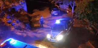 ‘Ceviz ağacının dalını neden kestin’ kavgası: 1 ölü 2 yaralı