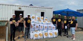 Fenomen köpek Boji, kripto projesiyle iyiliğe öncü oluyor