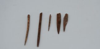 İzmir’de 8 bin 200 yıllık iğneler bulundu