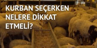 Kurbanlıkta sahte paraya dikkat