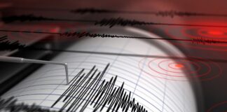 Şili’de 6,5 büyüklüğünde deprem meydana geldi