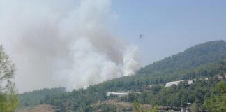 Üç ilde orman yangını