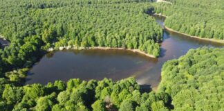 Yalova’da ormanlara giriş ve çıkışlar yasaklandı