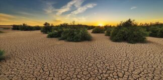 İklim değişikliği kaynaklı doğal afetler, bulaşıcı hastalıkların şiddetini artırıyor