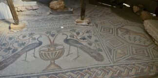 Hadrianaupolis’te üzerinde çeşitli figürlerin bulunduğu yeni mozaikler ortaya çıkarıldı