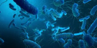 Klinikte legionella bakterisi kabusu: 6 kişi öldü