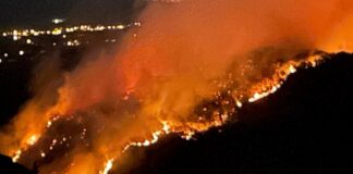 Muğla Ula’da orman yangını