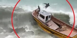 Ölümle burun buruna: Alabora olan bottan denize atladılar