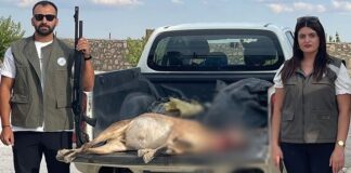 Tunceli’de yaban keçisi avlayan kişiye 253 bin lira ceza