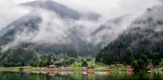 Türkiye’nin en yaşanabilir şehirleri