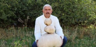 Yürürken buldu: Kestane olsaydı tatlı yapacaktım