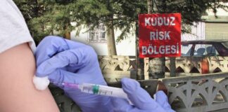 Kuduz hastalığı ölümcül mü?