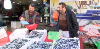 Karadeniz’de palamudun yerini hamsi aldı