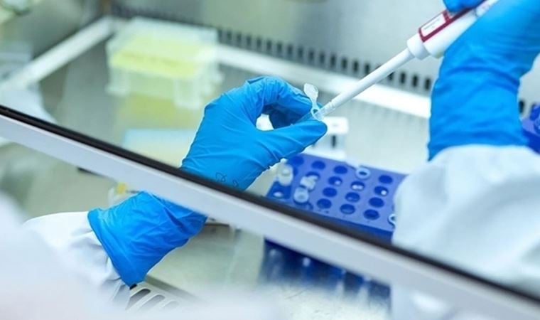 Karadağ’da Covid-19’un ‘Kraken’ alt varyantı tespit edildi