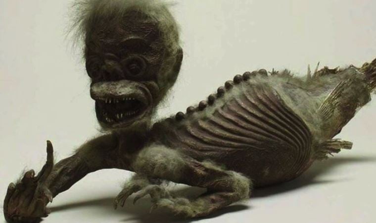 300 yıllık deniz kızı mumyasının sırrı: “İnsanlar birleştirmiş”