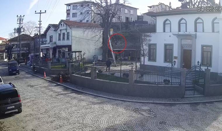 Kastamonu’da feci ölüm: Budamak için çıktığı ağaçtan düştü