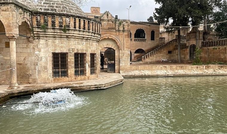 Balıklıgöl’ün suyu normalleşmeye başladı, balıklar yeniden ortaya çıktı