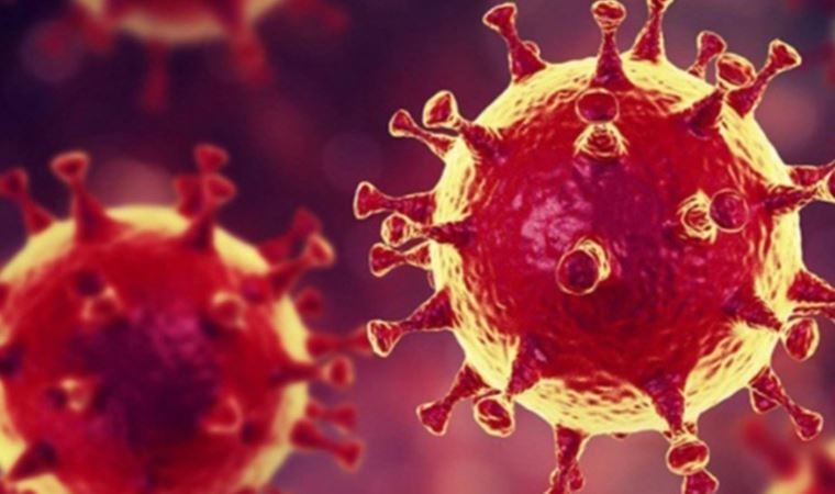 Bilim insanları yayımladı: Covid-19’un kökeni incelendi