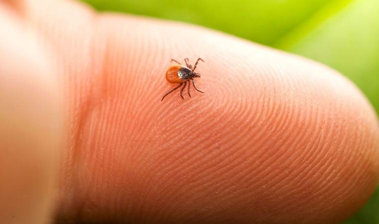 Yılın KKKA’dan ilk ölümü: Sivas’ta bir kişi hayatını kaybetti