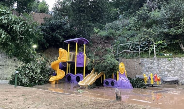 İki haftada 30’a yakın çocuk kayboldu