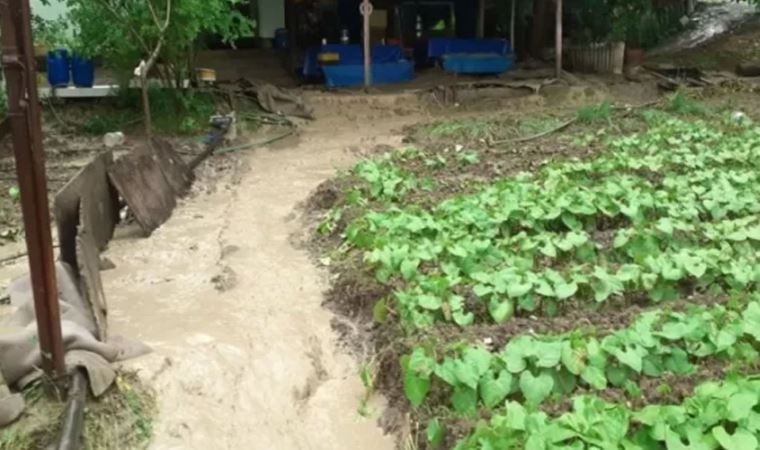 Karabük’te sağanak nedeniyle tarım arazileri zarar gördü