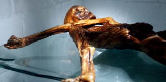 Buzul mumya Ötzi’nin Anadolulu olduğu belirlendi