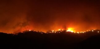 Çanakkale’de orman yangını (9 köy tahliye edildi)