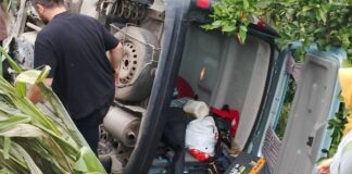 Ordu’da minibüs ile kamyonet çarpıştı: 17 yaralı