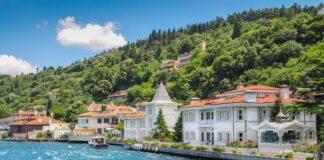 Orman Yangınlarını Erken İhbar Sistemi: Kozalak Cihazı