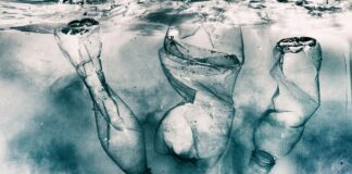 Doğada yüzde 97 oranında çözülen plastik üretildi