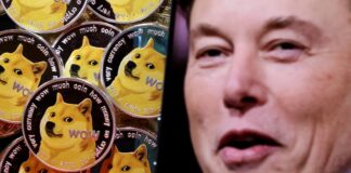 Elon Musk, 258 milyar dolarlık kripto davasını kazandı